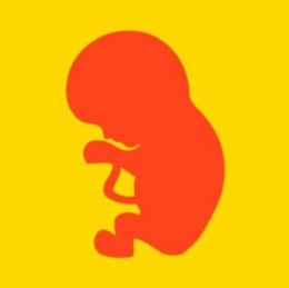 18 mitów na temat aborcji